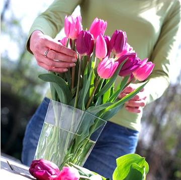 Как продлить жизнь срезанным цветам